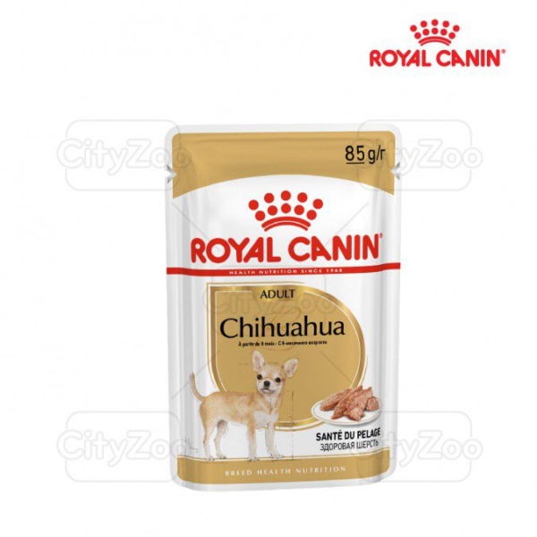 Thức ăn Royal Canin Chihuahua Adlut cho chó trưởng thành