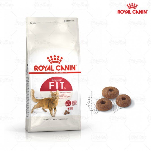 Thức ăn Royal Canin Fit32 cho mèo vận động thường xuyên