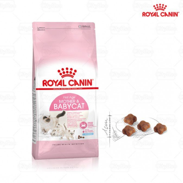 Thức ăn Royal Canin Mother & Baby Cat cho mèo mẹ và mèo con