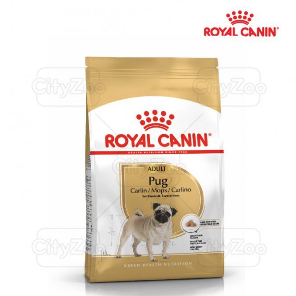 Thức ăn Royal Canin Pug Adult cho chó trưởng thành