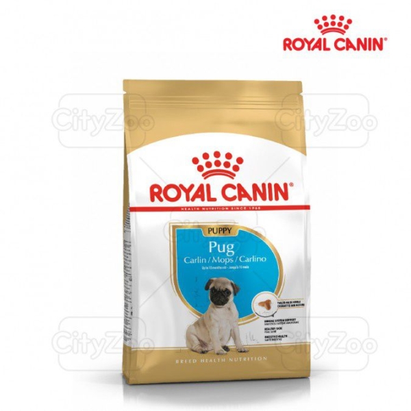 Thức ăn Royal Canin Pug Puppy cho chó con
