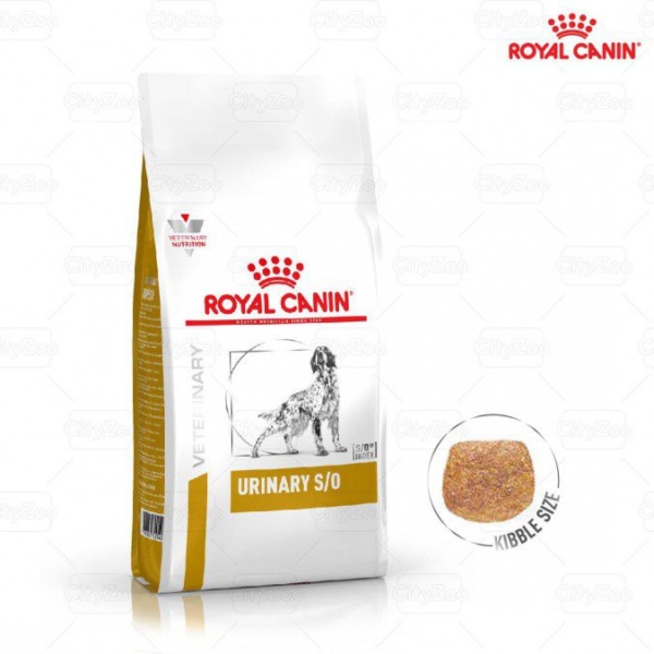 Thức ăn Royal Canin Urinary S/O Canine hỗ trợ điều trị bệnh sỏi thận ở chó