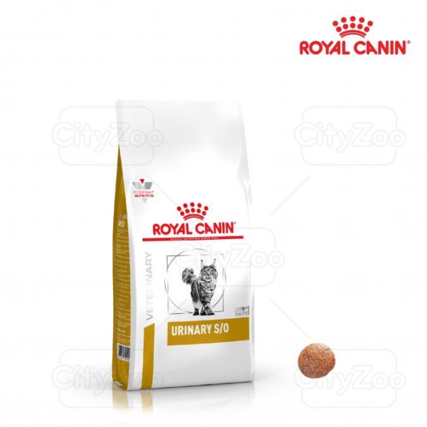 Thức ăn Royal Canin Urinary S/O cho mèo bi sỏi thận